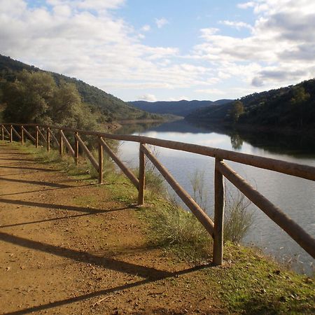 Tejadilla Casita Rural Cerca De Sevilla Con Piscina エクステリア 写真