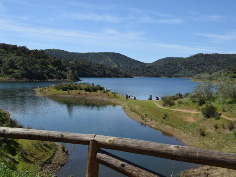 Tejadilla Casita Rural Cerca De Sevilla Con Piscina エクステリア 写真